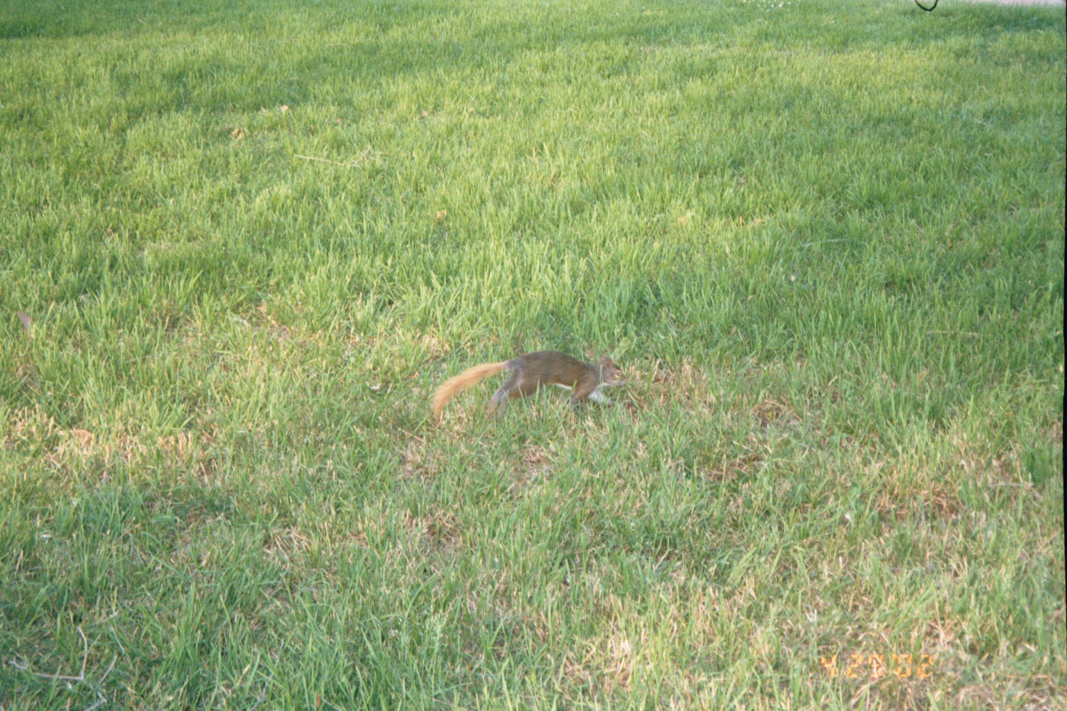 ./Ragtime/52 - Orange TX Apr 28 to Apr 29/picture17.jpg